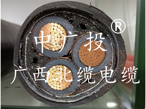 广西long8官方网站电缆丨广西电缆厂丨广西电线电缆丨嘉峪关电缆厂家