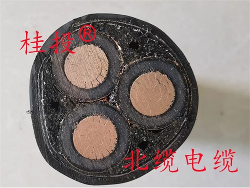 电力电缆和节造电缆有什么区别